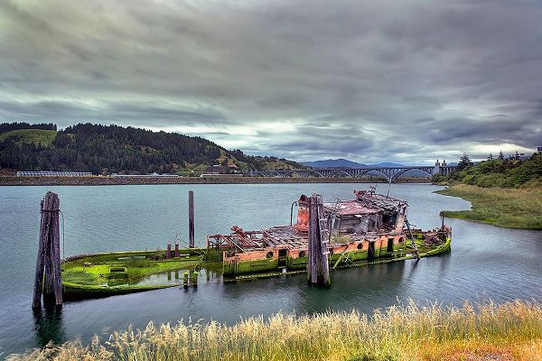 Jones, Adam 아티스트의 Historic shipwreck-Mary D Hume-a National Register of Historic Places-Gold Beach-Oregon작품입니다.